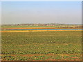 View of Peldon Village from Mersea Island