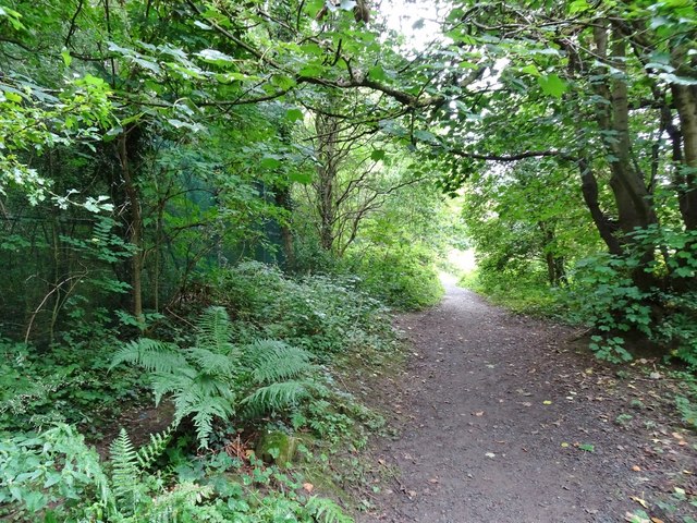 Nature Reserve Path