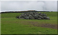 Pile of boulders in a field, Merthyr Farm