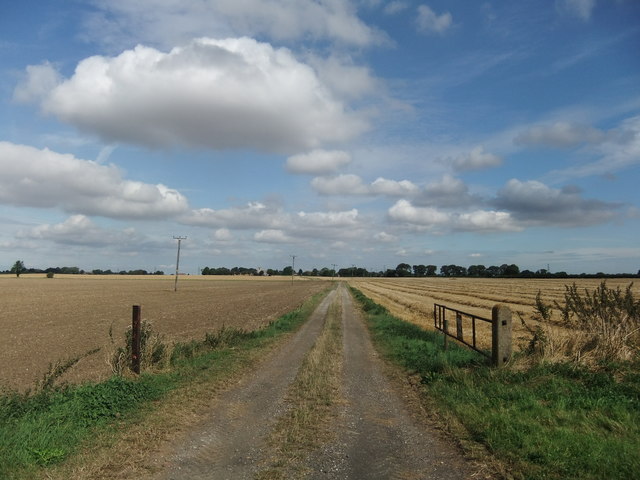 Field track near Swine