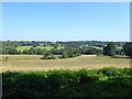 Lane Meadow/Long Field