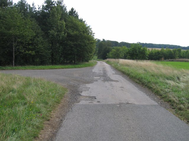 Bridle Road