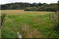 Path through fields and woodland south of Great Bedwyn