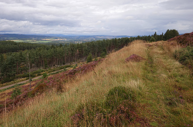 Boblainy Forest viewpoint