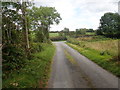 Forge Road approaching its junction with the Bog Road