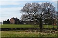 Common Farm, Dinnington