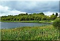 Frankfield Loch