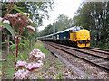 Class 37 at Wernddu foot crossing