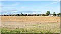 Houses at Cheviot View