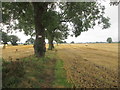 Footpath south of Moor Lane, South Duffield