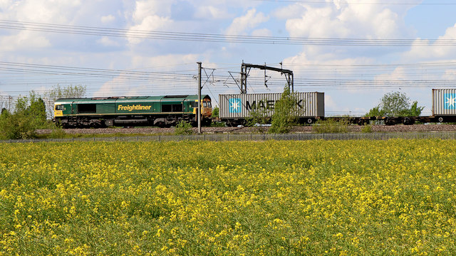 Rape field and Freight train near Huddlesford in Staffordshire