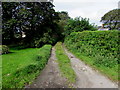 Westwood Cottage access road, Wick, Vale of Glamorgan