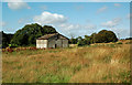 Old building near Forester