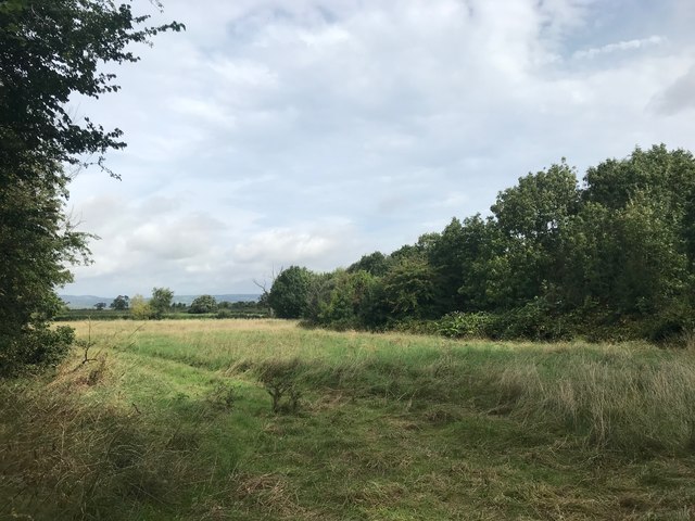 Field by Rushen Lane