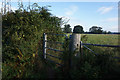 Path towards Alton Hall Farm