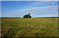 Path towards Whitehouse Farm