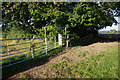 Path towards Whitehouse Farm