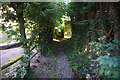 Path towards Harvest Hill Lane