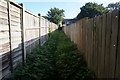 Path towards Harvest Hill Lane