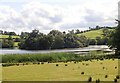 The Lisleitrim Lough Crannog viewed from the Lisleitrim Road