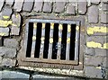 Old drain grating near the Erpingham Gate