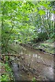 Looking Upstream on The Medlock