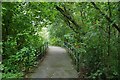 Medlock Valley Way Cycle Path