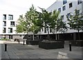 Courtyard surrounded by blocks of flats