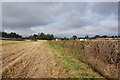 Path leading towards Meriden