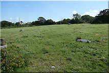 SH5058 : Field with boulders, north-west of Bodgarad by Christine Johnstone