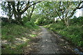 Bryngwyn Branch slate trail nearing Tryfan Junction