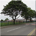 Tree-lined part of Hengoed Road, Cefn Hengoed