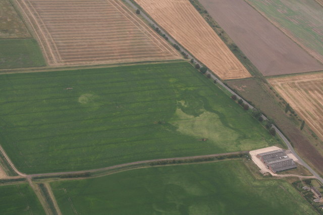 Cropmarks on fields between March and Coldham: aerial 2019 (2)