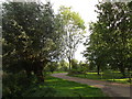 Bridleway and entrance to Rose Cottage, Hoveringham