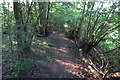 Footpath through Everdon Stubbs