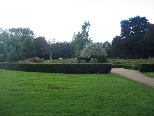 Memorial Park rose garden