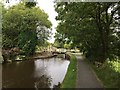 Goyt Way - Furness Vale