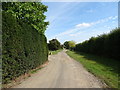 Byway near Park Farm