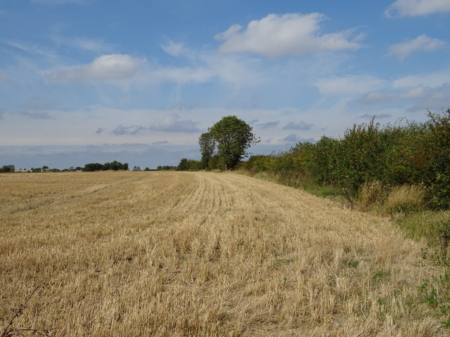 Stubble field and hedgerow © JThomas :: Geograph Britain and Ireland