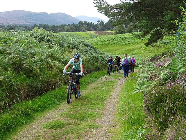 National Cycle Route No 7