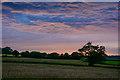 East Devon : Grassy Field