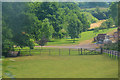 Crowcombe : Grassy Field