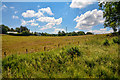 ST1038 : Bicknoller : Grassy Field by Lewis Clarke