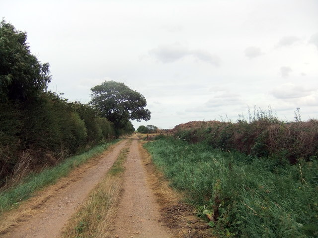 Farm track near Leven