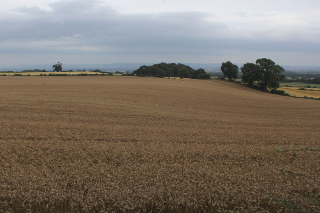 Rolling Countryside East of Craggs Lane