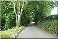 The narrow road to Hafod y Coed