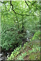 Afon Llifon, near Maes Tryfan