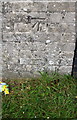 Benchmark on garage block on west side of Nene Crescent