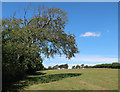 Footpath to Combe