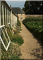 ST3505 : Kitchen garden, Forde Abbey by Derek Harper